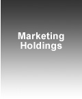 Marketing-Holdings_MA.jpg